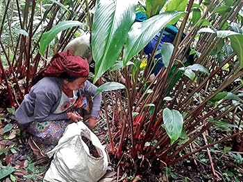 Oz-ozidan Blowjob lavozimlari